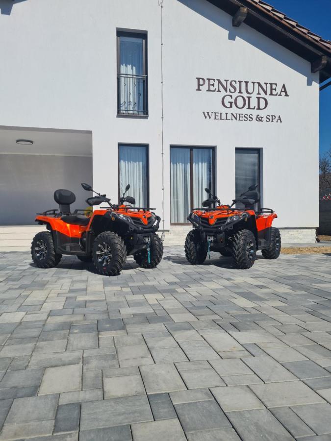 Pensiunea Gold Wellness&Spa Chiscau Exteriér fotografie
